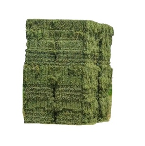 Foin de luzerne à vendre frais nutritif et parfait pour l'alimentation du bétail et la nutrition des petits animaux - Product Image 6