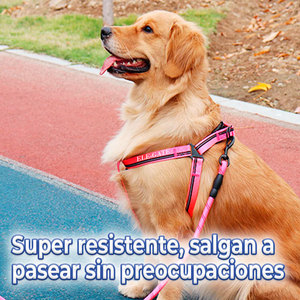 Ensemble Harnais et Laisse de Luxe pour Chien Taille XL – Confortable, Sûr, Anti-Évasion, Respirant, en Nylon et Acier Inoxydable, Style Solide et Motif Élégant - Product Image 5