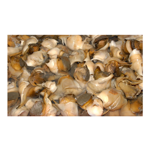 Viande de conque de mer congelée sans coquille BQF/Bloc - Product Image 1