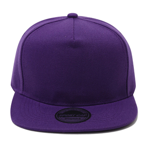 Sombrero de béisbol ajustable de algodón con ala plana Snapback, ropa de calle, sombreros informales de verano para hombres y mujeres, estilo deportivo, talla para niños - Product Image 2