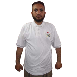 100% algodón hombres bordado Logo Golf para Polo camisetas de talla grande transpirable Jersey liso manga corta Casual para Polos - Product Image 1