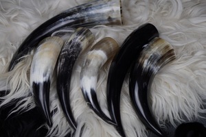 แตรสำหรับดื่มไวกิ้งทำจากธรรมชาติเป็นมิตรต่อสิ่งแวดล้อมดีไซน์รูปสัตว์รูปควาย - Product Image 4