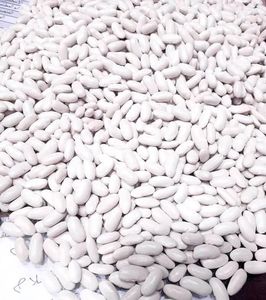 Белая фасоль большого размера на продажу