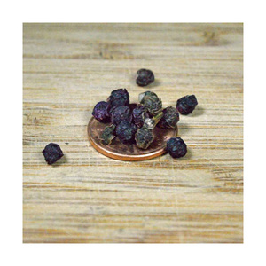 Semillas de hookeri de alta calidad suministradas para proyectos de cultivo de plantas ornamentales y paisajismo - Product Image 3