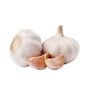 Compre ajo fresco blanco puro de 4,5 cm-6,0 cm de China Small Packing Export para uso normal de verduras - Product Image 6