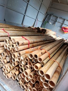 Pôles en bambou sur mesure pour matériaux de construction, qualité structurelle, traités anti-termite, vente en gros - Product Image 4