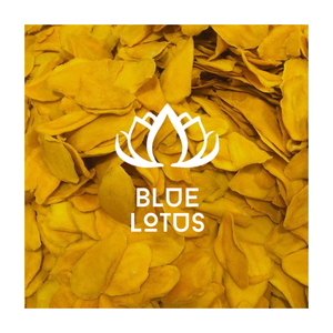 DISPONIBLE AHORA FD Mango seco Soft Organic Snack Vietnam Origin Sugar Free Healthy Choice Eco Packaging - Product Image 1