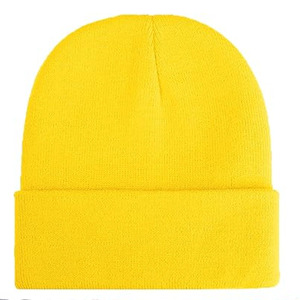 Casquettes d'hiver du fabricant F Skull Cap Bonnet en tricot avec logo téléchargé par Dress Sports - Product Image 1