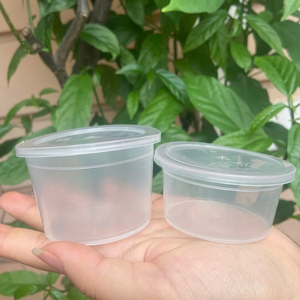 Custom Logo Disposable <b>Lids</b> Durable 6Oz Heavy Duty Food Grade <b>Plastic</b> Cups for Yogurt & Ice Cream Vietnam manufactory - Product Image 2