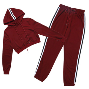 Hiver Automne Casual Crop Top Jogging Suits 2 Pieces Women Sweatsuit Velvet Track Suit Tracksuit Set 2026 - Product Image 3