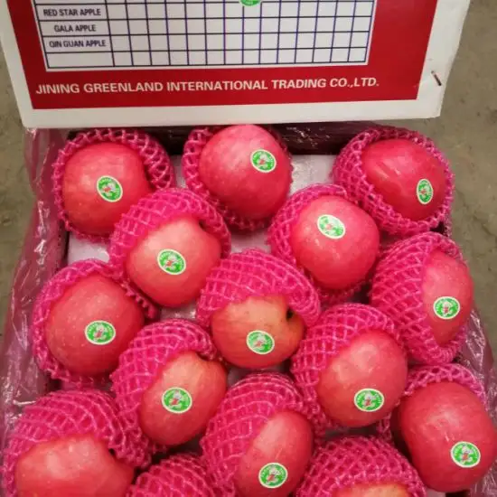 Kwaliteit Nieuwe Crop Natuurlijke Rode Fuji Apple
