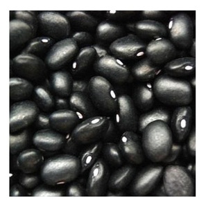 Nueva cosecha de frijoles negros secos al por mayor - Product Image 1