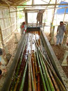 Poteaux de bambou traités thermiquement pour l'utilisation de mur et de décoration de toit de maison - Product Image 6