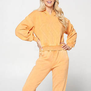 Meilleures ventes Top court à capuche de qualité supérieure pour femmes Couleur unie Logo avant-Vente en ligne Crop Top Hoodies - Product Image 1