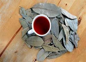 ถุงชาจากใบทุเรียนเทศธรรมชาติทั้งหมดเหมาะสำหรับการสนับสนุนภูมิคุ้มกันและสูตรจากพืช - Product Image 4