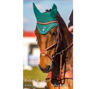 GLOW 2 rangées CLEAR Crystal BLING German Comfort Poll Grackle Figure 8 Bridle - Product Image 1