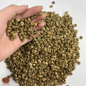 Café vert Arabica d'origine Vietnamienne S18 pour le café du Vietnam Directement des fermes vietnamiennes Approvisionnement en vrac Service OEM/ODM - Product Image 1
