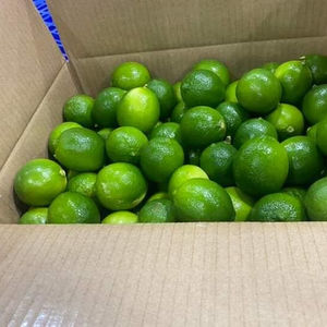 Exportación de Lima fresca al mercado de Dubái Embalaje 7kg/caja + 84 976727907 Ms Carolina - Product Image 5