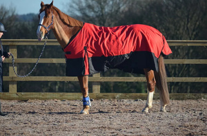 Alfombras de caballo de invierno hechas a medida de la mejor calidad, poliéster ligero, impermeable y transpirable - Product Image 2