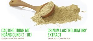 Crinum Latifolium Crinum,Latifolium Powder Akina ธรรมชาติที่มีคุณภาพสูง - Product Image 2