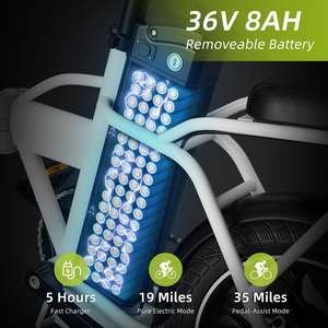 จักรยานไฟฟ้า Windhorse W2A – มอเตอร์ 630W, ความเร็ว 25 ไมล์ต่อชั่วโมง, ระยะทาง 20 ไมล์ - Product Image 5
