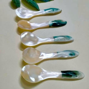 Affichage de caviar de cuillère de service de coquillage de qualité supérieure vadrouille écologique - Product Image 2