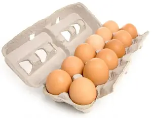 Oeufs de table blancs bruns frais Œufs de poulet frais Vendre au meilleur taux Œufs de table frais Blanc Brun