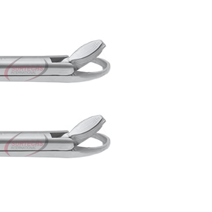 Juego de 2 Pinzas Blakesley, Manual |   Instrumentos Quirúrgicos ORL |   Pinzas de Precisión de Acero Inoxidable para Nariz y Oído - Product Image 3