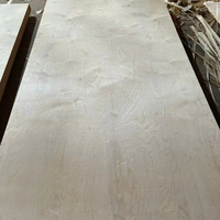 Contreplaqué à face de bouleau du Vietnam noyau d'eucalyptus et de styrax de qualité supérieure pour meubles de première classe 3mm-18mm