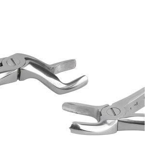 ชุดเครื่องมือถอนฟัน 10 ชิ้น ทำจากสแตนเลส สำหรับผู้ใหญ่ อุปกรณ์ทันตแพทย์ เครื่องมือศัลยกรรมจัดฟัน โดย SurgiRight - Product Image 4