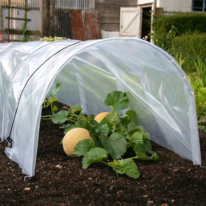 Kit de tunnel de jardin moderne de petite taille, type cloche, en PVC traité sous pression, aluminium, fer, acier, pour la croissance des plantes, utilisation hivernale, design pop-up - Product Image 6
