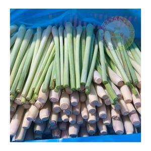 Tiges de citronnelle congelées en vrac provenant directement du Vietnam pour les transformateurs alimentaires détaillants et les marchés d'exportation - Product Image 4