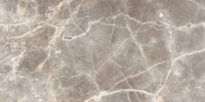 Carreaux vitrifiés gris clair en carreaux de porcelaine 600x1200mm finition mate pour projet résidentiel meilleure qualité - Product Image 6