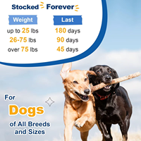 Poudre de Probiotiques, Glucosamine, Oméga-3 et Huile de Poisson Multivitaminée en Gros (OEM/ODM) pour Chiens et Chats - Absorption Rapide, Digestion, Articulations et Os