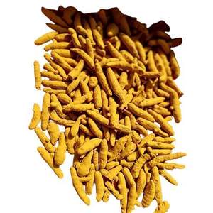 Pura cúrcuma Ayurvédica dedo secado al sol recogido a mano granjas indias bienestar superalimento compradores a granel precio competitivo 24 meses - Product Image 4