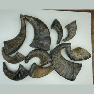 Bulk Customizable Natural Buffalo Horn <b>Dog</b> Chews Dried Pet Treats with Accurate Sizing for All <b>Dog</b> Breeds and Craft Use - Product Image 6