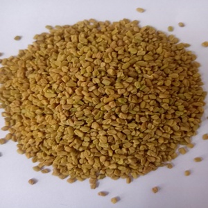 Graines de fenugrec naturelles RGPL Radiance Global, pureté 99%, origine Tamil Nadu, durée de conservation 1 an, modèle 02, pour assaisonnement culinaire - Product Image 2