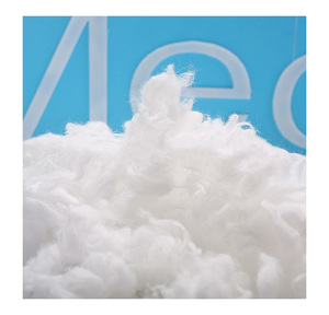 Semillas de Algodón Orgánico Crudo de Alta Calidad en Venta - Product Image 2