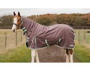 Customized Color Professional Horse Riding Rugs for Summer and Winter Made with Durable Nylon Fabric and Soft Cotton <b>Filling</b> - Product Image 5