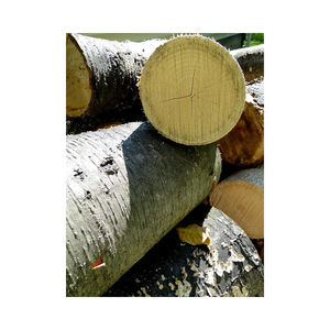 <b>Logs</b> and Lumber/Oak <b>Wood</b> <b>Logs</b> and Lumber/Ash <b>Wood</b> <b>Logs</b> and Lumber Spruce <b>Wood</b> <b>Logs</b> and Lumber Best Product - Product Image 3