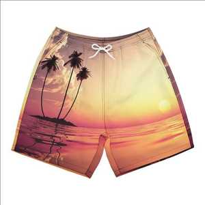 Oferta Especial: Shorts de Baño Personalizados para Hombre, Secado Rápido, Ecológicos, con Cordón Ajustable y Logotipo Frontal, OEM Disponible - Product Image 2
