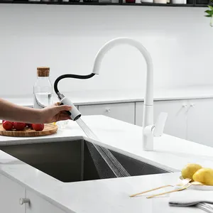 Güverte üstü mutfak tek kolu musluk bataryası pull-down sıcak ve soğuk su püskürtücü mutfak lavabo musluğu