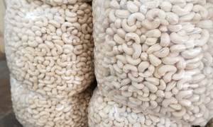 เม็ดมะม่วงหิมพานต์ดิบขายดีที่สุด W320 & W450 |   คุณภาพสูงสุดสำหรับการส่งออกระดับโลก |   ผู้จัดจำหน่ายที่เชื่อถือได้ - Product Image 2