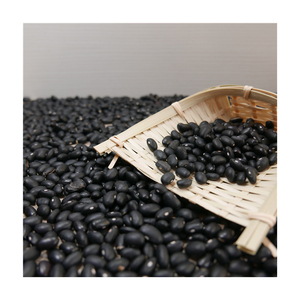 Frijoles negros de alta calidad suministrados para comercio al por mayor con estándares de calidad de exportación - Product Image 2