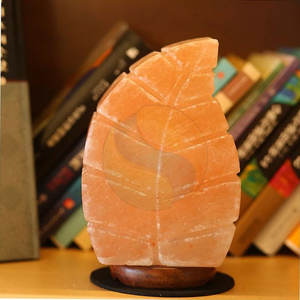 Sal en forma de hoja de buena calidad Venta caliente Sal en forma de hoja del Himalaya Sal de hoja personalizable para venta en línea - Product Image 6