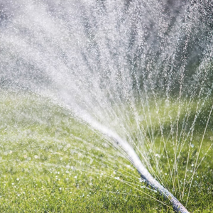 Nastro Microirrigazione in PE <span class=keywords><strong>a</strong></span> Risparmio Idrico, Perforato al Laser, <span class=keywords><strong>per</strong></span> <span class=keywords><strong>Irrigazione</strong></span> <span class=keywords><strong>a</strong></span> <span class=keywords><strong>Goccia</strong></span> in Agricoltura e Giardinaggio - Product Image 4