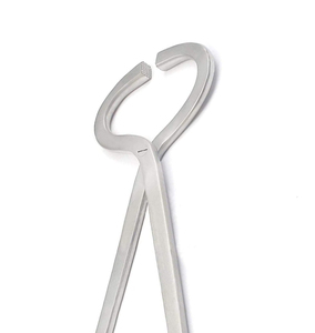 Probador de pezuña veterinaria de acero inoxidable forjado con gota de precisión, herramienta de herrador ajustable, instrumento profesional duradero - Product Image 3