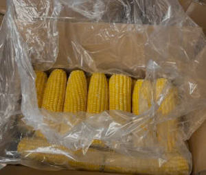 Sticky Corn Premium Frozen Kernel Corn <b>Sweet</b> Corn Cob from Vietnam Supplier - Caryln 0084935825297 - Product Image 4