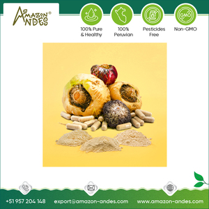 Fournisseur de confiance de poudre de maca crue biologique pure de qualité supérieure la plus vendue en gros pour les acheteurs en vrac du Pérou - Product Image 4