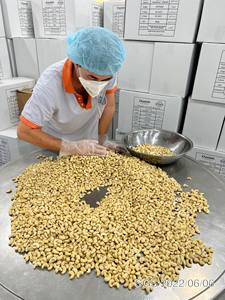 [Offre spéciale] noix de cajou de qualité supérieure du Vietnam noix de cajou à vendre avec le meilleur prix d'un fournisseur fiable + 84363565928 - Product Image 6